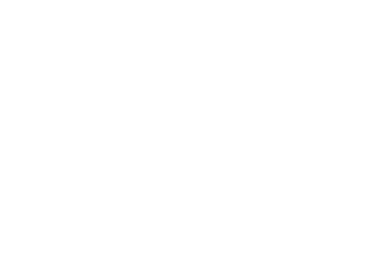AIS logo